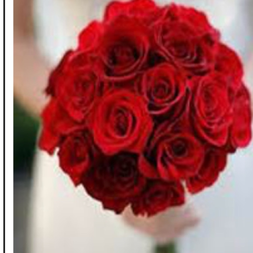 Meet your Posher, Renee